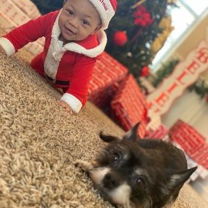 Meet your Posher, Rodney